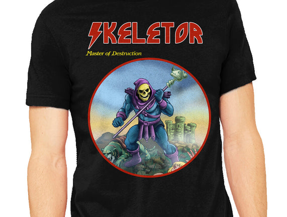 Skeletor Master Of Destruction