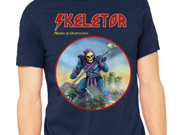 Skeletor Master Of Destruction