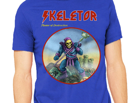 Skeletor Master Of Destruction