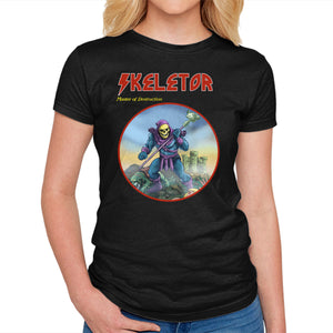 Skeletor Master Of Destruction
