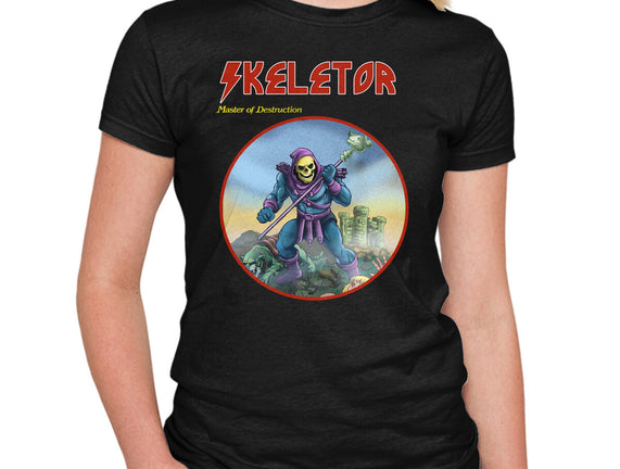 Skeletor Master Of Destruction