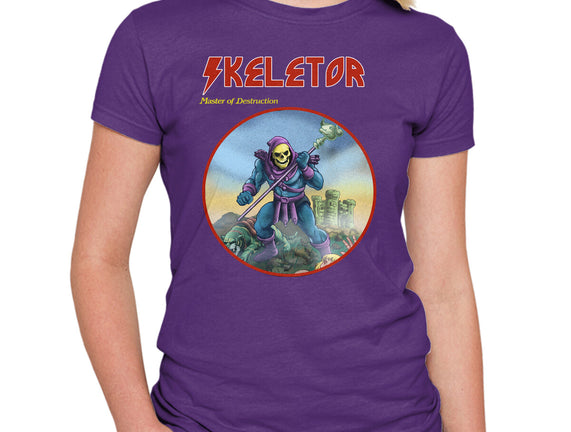Skeletor Master Of Destruction