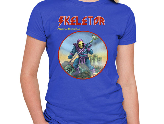 Skeletor Master Of Destruction