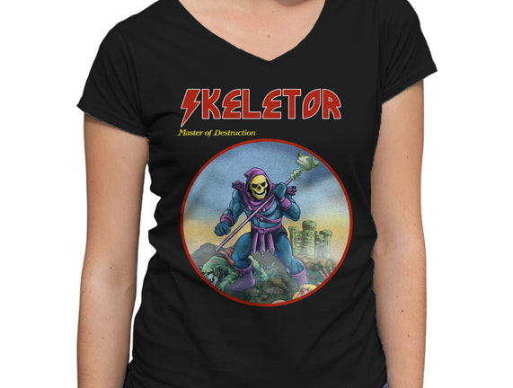 Skeletor Master Of Destruction
