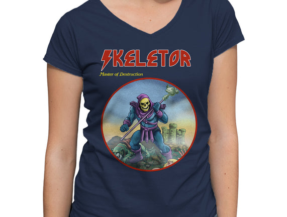 Skeletor Master Of Destruction