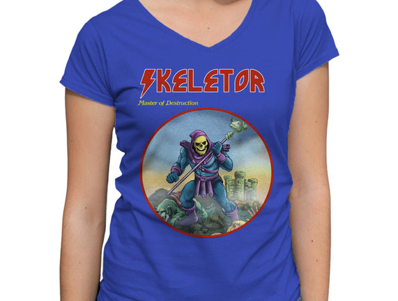 Skeletor Master Of Destruction