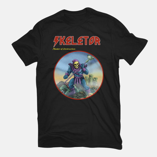 Skeletor Master Of Destruction-Womens-Fitted-Tee-Diego Gurgell