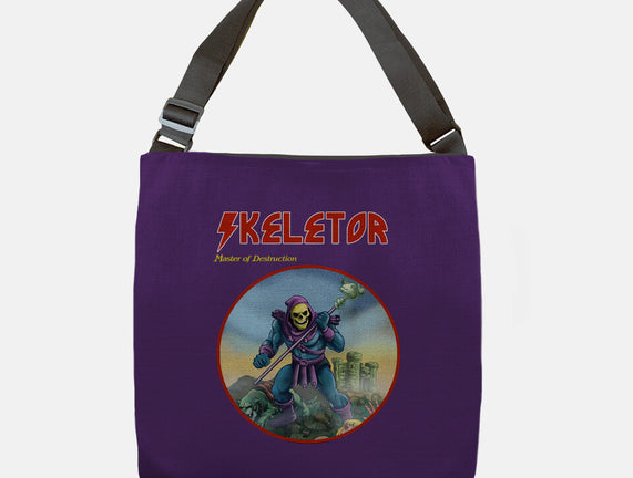Skeletor Master Of Destruction