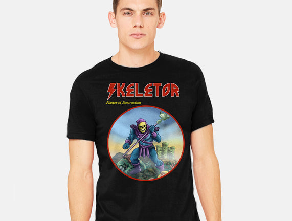 Skeletor Master Of Destruction
