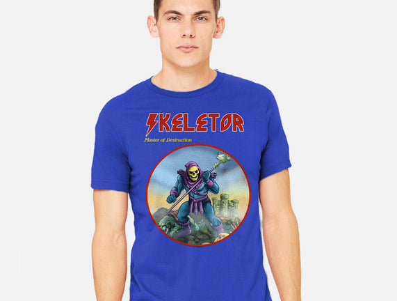 Skeletor Master Of Destruction