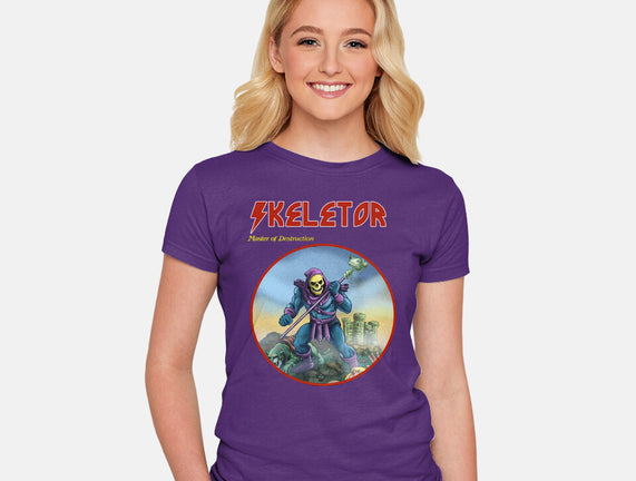 Skeletor Master Of Destruction