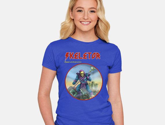 Skeletor Master Of Destruction