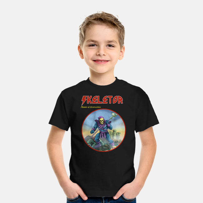 Skeletor Master Of Destruction-Youth-Basic-Tee-Diego Gurgell