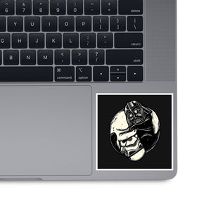 Black And White Cats