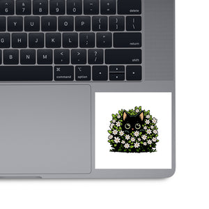 Spring Hide And Seek