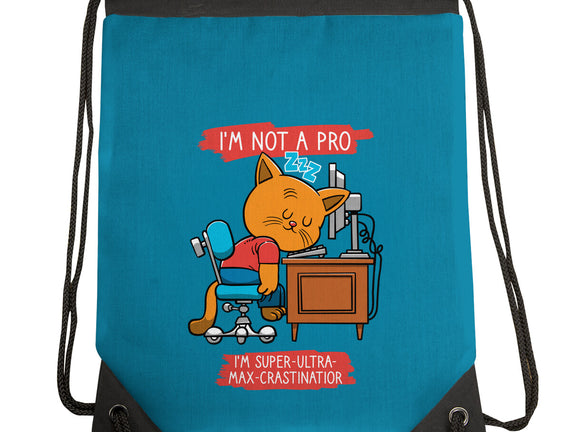 Expert Procrastinator