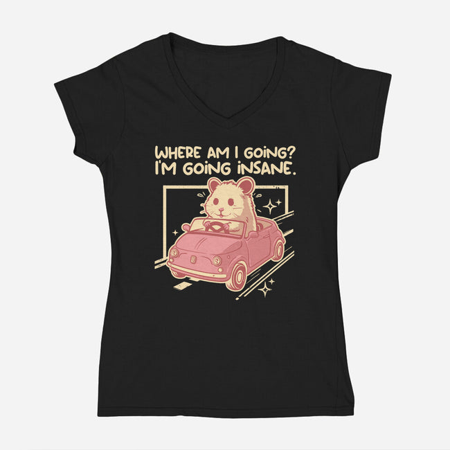 I Am Going Insane-Womens-V-Neck-Tee-NemiMakeit