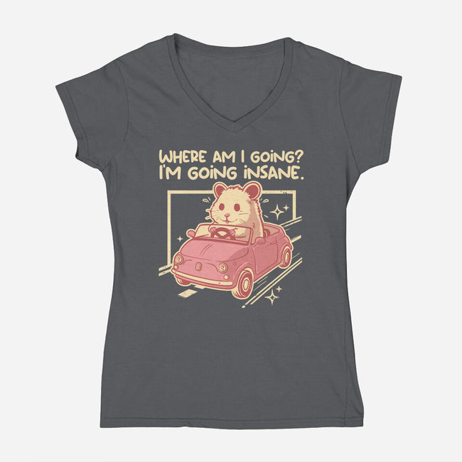 I Am Going Insane-Womens-V-Neck-Tee-NemiMakeit