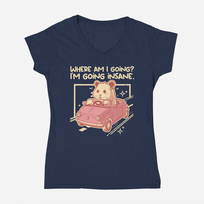 I Am Going Insane-Womens-V-Neck-Tee-NemiMakeit
