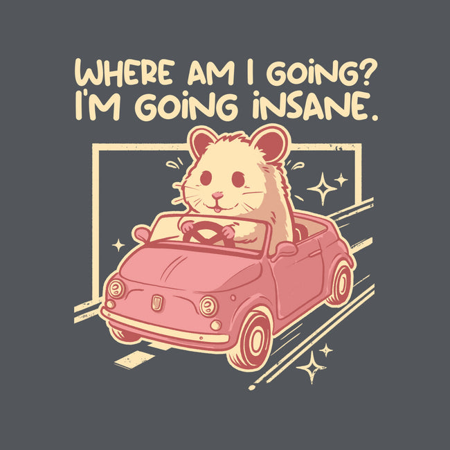 I Am Going Insane-Unisex-Pullover-Sweatshirt-NemiMakeit