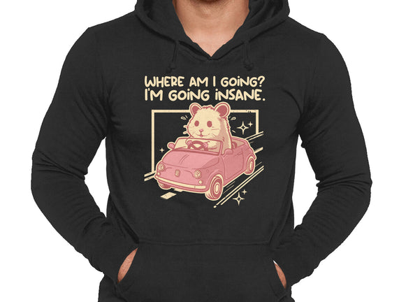 I Am Going Insane