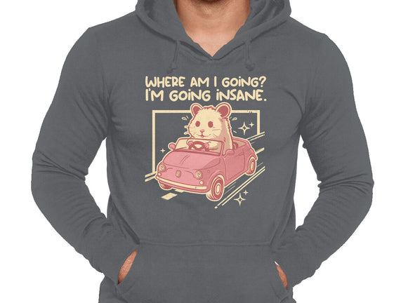 I Am Going Insane