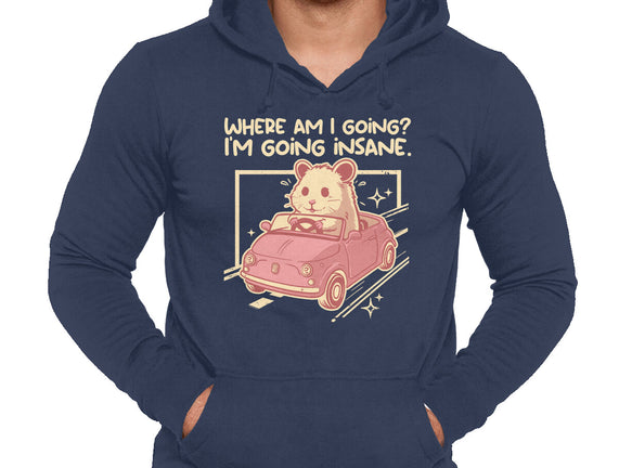 I Am Going Insane