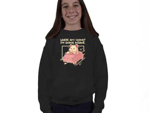I Am Going Insane