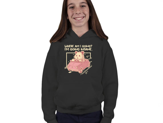 I Am Going Insane