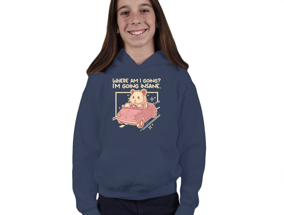 I Am Going Insane