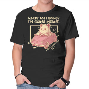 I Am Going Insane