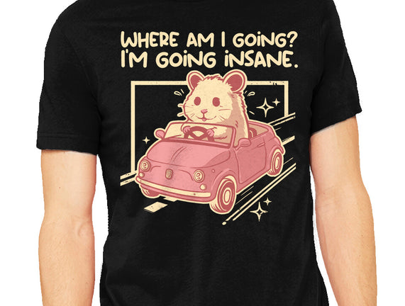 I Am Going Insane