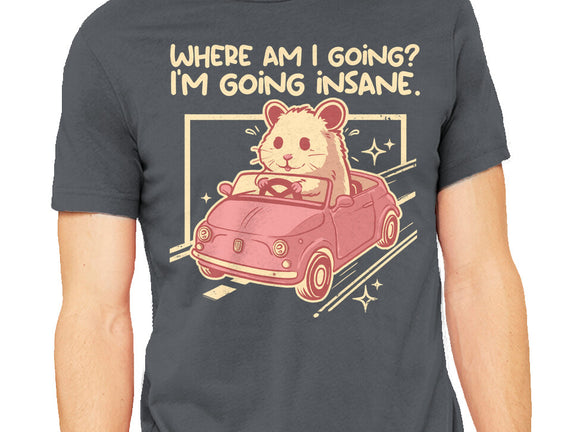 I Am Going Insane