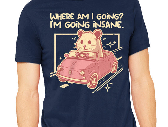 I Am Going Insane