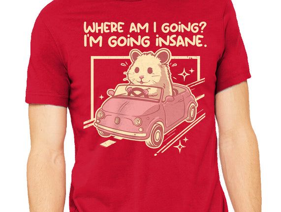 I Am Going Insane