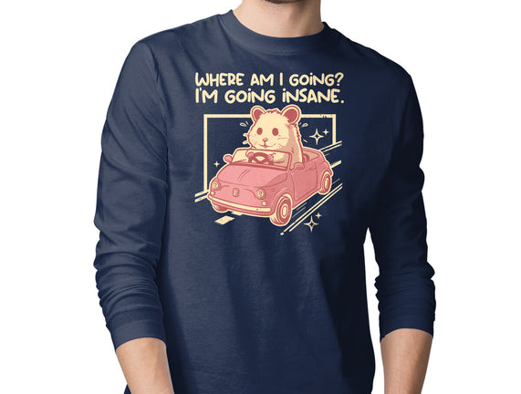 I Am Going Insane