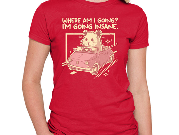 I Am Going Insane