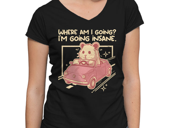 I Am Going Insane