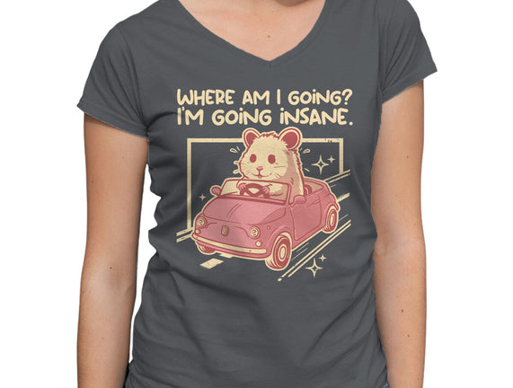 I Am Going Insane