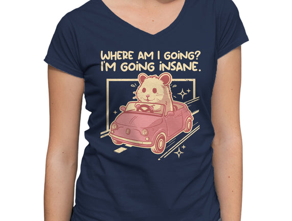 I Am Going Insane