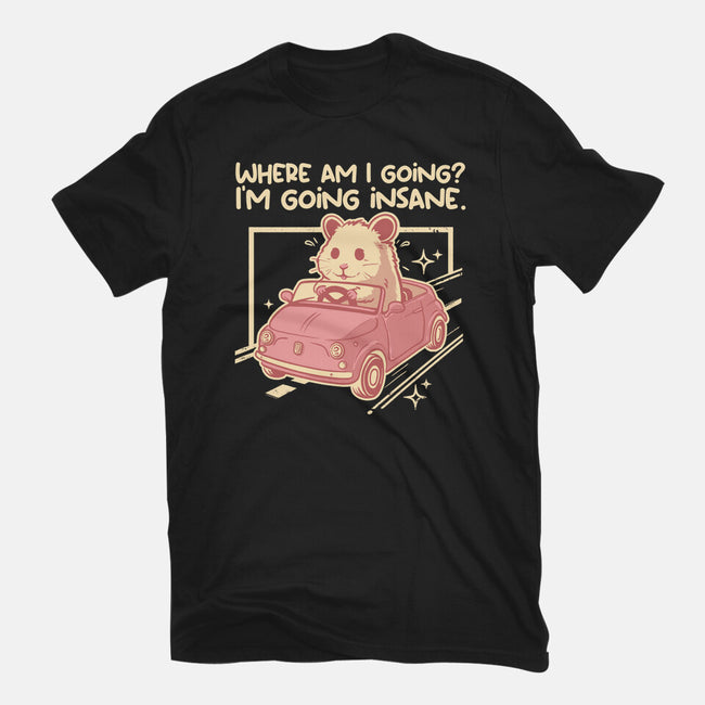 I Am Going Insane-Mens-Basic-Tee-NemiMakeit
