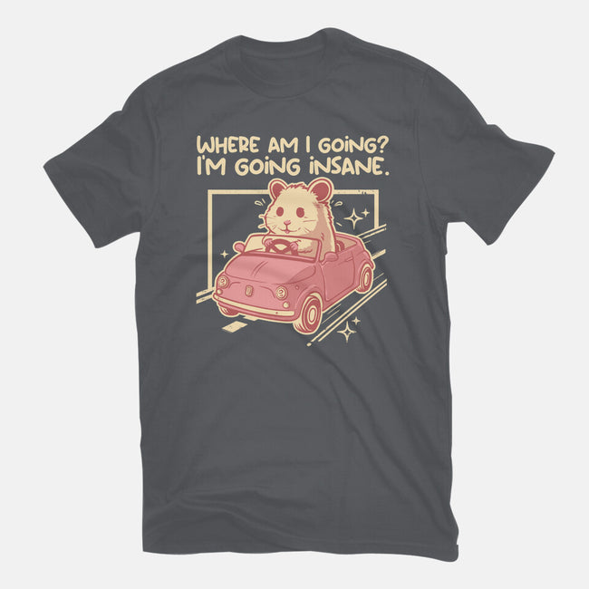 I Am Going Insane-Mens-Basic-Tee-NemiMakeit