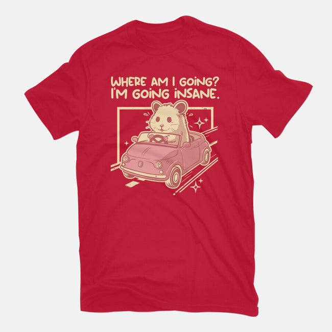 I Am Going Insane-Mens-Basic-Tee-NemiMakeit