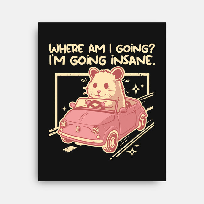 I Am Going Insane-None-Stretched-Canvas-NemiMakeit