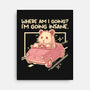 I Am Going Insane-None-Stretched-Canvas-NemiMakeit