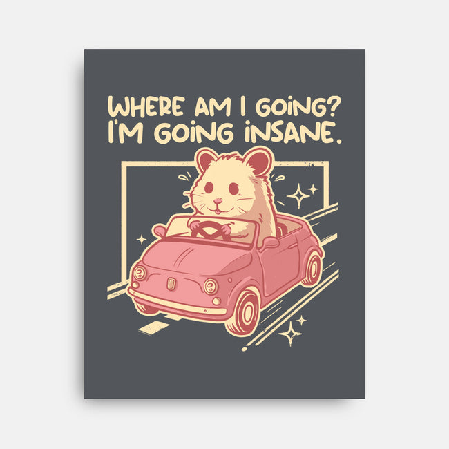 I Am Going Insane-None-Stretched-Canvas-NemiMakeit
