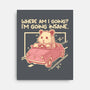 I Am Going Insane-None-Stretched-Canvas-NemiMakeit