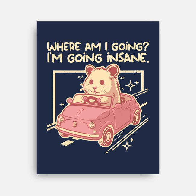 I Am Going Insane-None-Stretched-Canvas-NemiMakeit