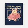 I Am Going Insane-None-Stretched-Canvas-NemiMakeit