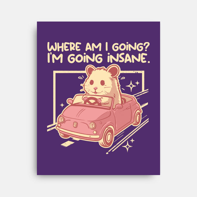 I Am Going Insane-None-Stretched-Canvas-NemiMakeit